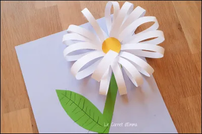 Quelle est ton activité préférée ?