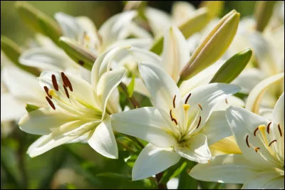 Bon ! Qui détestes-tu ?