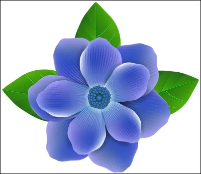 Et ton physique ? Ta coiffure ? Comment sont-ils ? Si rien ne va, prends ce qui te va le plus.