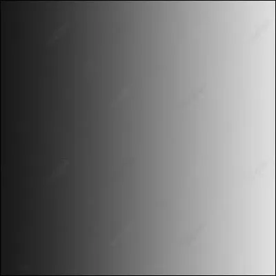 Traduis noir en espagnol.