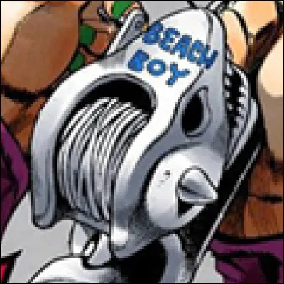 Quel est le nom traduit de Beach Boy ?