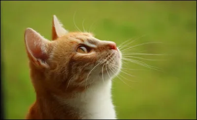 Comment prévoit-il larrivée du vent ?