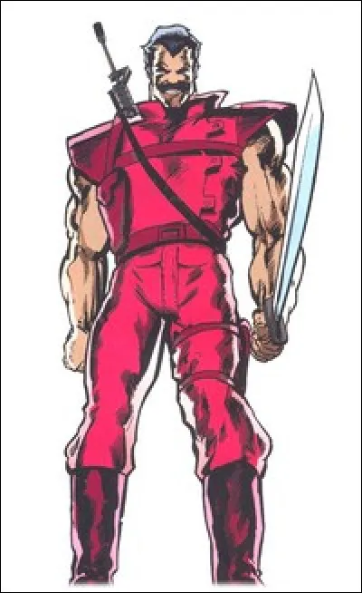 Dans quelle équipe est le Sarrasin ?