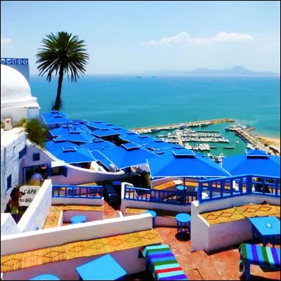 Quel village tunisien, célèbre pour ses cafés, dont le Café des Délices chanté par Bruel, abrite un musée dinstruments de musique andalous ?