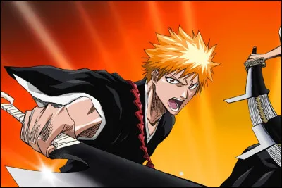 Quel personnage fait partie de l'univers de Bleach ?