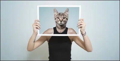 Que signifie l'expression "Y'a pas photo !" ?