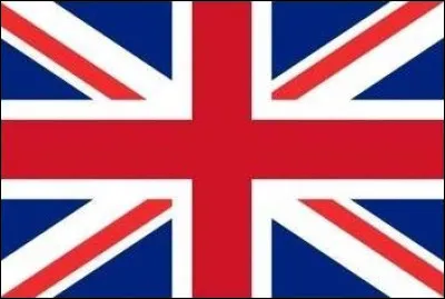 Comment les Américains appellent-ils les frites ?