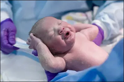 D'autres noms leur furent délivrés, avec plus ou moins de succès, tels que les suivants. Cherchez l'intrus !