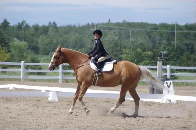 Revenons à nos robes ! Quelle est cette robe ?