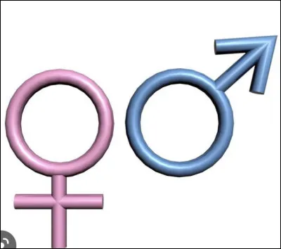 Es-tu une fille ou un garçon ?