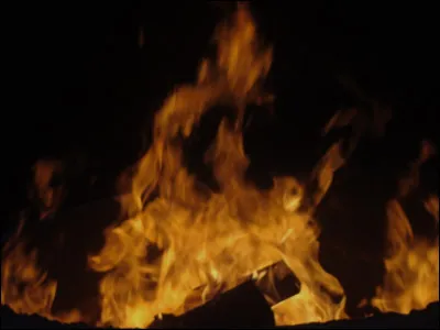 Tu marches dans la forêt et là, tu vois un départ de feu, que fais-tu ?