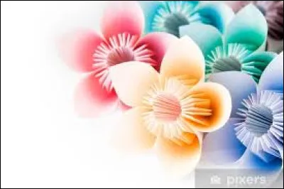 Quelle est la couleur de la longue tunique que porte par les Touaregs ?