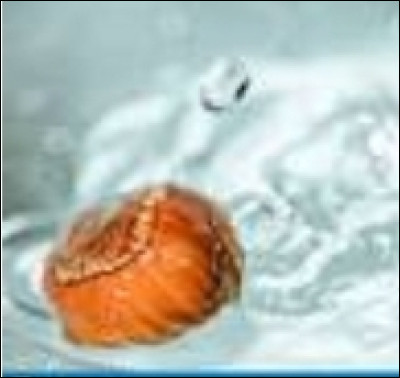 Que dit une noisette dans l'eau ?