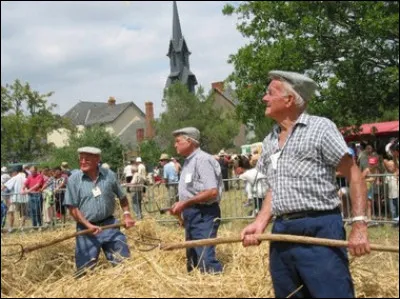 La fête des battages du blé qui reproduit ces techniques ancestrales dans des villages, se déroule généralement...