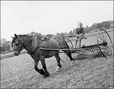 Quelle est donc cette ancienne machine agricole ?