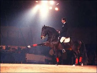 Que fait ce cheval ?