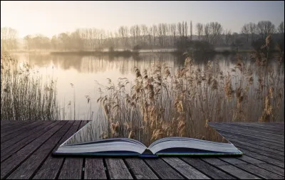 Qu'est-ce qu'un roman-fleuve ?