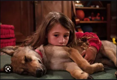 Si je vous parle de Mystère...