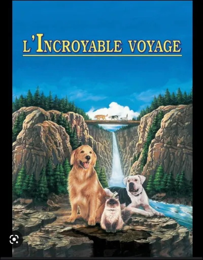 Si je vous parle de Shadow...