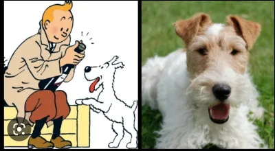 Si je vous parle de Milou...