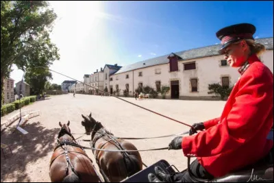 Site culturel et touristique incontournable, le Haras de la Vendée, situé au cur de La Roche-sur-Yon, peut accueillir jusqu'à 220 étalons. Pour le compte de quel roi a-t-il été créé en 1665 par Colbert ?