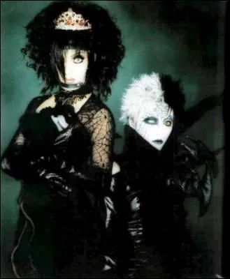 Quels taient les deux seuls membres composant le groupe Schwarz Stein ?