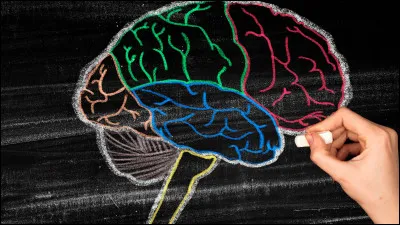 Quel âge mental penses-tu avoir ?