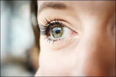 Que regarde-t-il qui s'en va ?