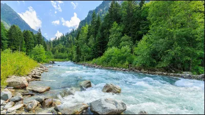 Le lendemain, après avoir marché toute la matinée, vous faites une halte dans une belle et grande prairie, auréolée de soleil. Ta tante propose de pique-niquer là-bas, mais un large ruisseau vous barre la route...
Quelle est ta réaction ?