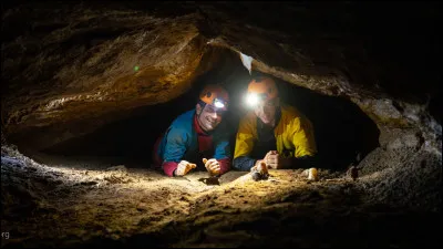 Pour bien terminer le week-end, toi et ta famille faites de la spéléologie ! Alors que vous êtes au beau milieu de la grotte où coule une large rivière, la lumière s'éteint d'un coup...
Comment réagis-tu ?