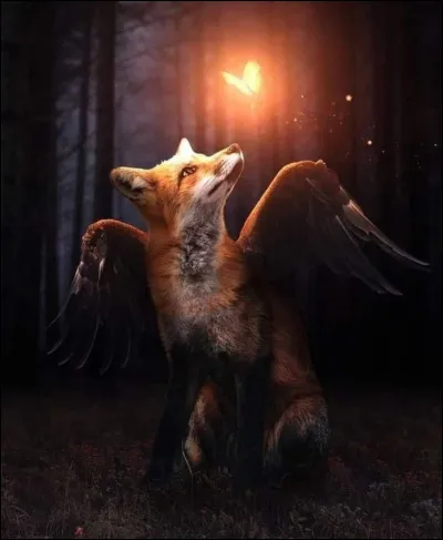 Le renard volant est...
