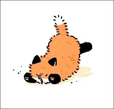 Combien de temps vit un renard ?