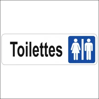 Quelle est la particularité des toilettes à la turque ?