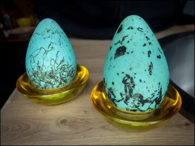 Ces magnifiques œufs naturellement bleus sont utilisés pour faire une omelette islandaise. Mais quel est son nom ?
