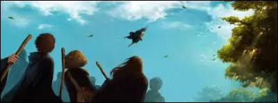 Quel âge avait-il la première fois qu'il est monté sur un balai ?