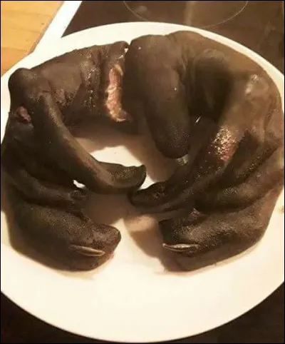 Et pour finir, de quel animal les nageoires des selshreifar proviennent-elles ?