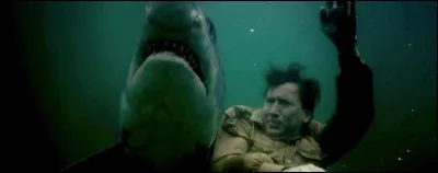 Dans l'un de ces films, Nicolas Cage est un capitaine de la Marine dont le bateau se fait couler lors de la seconde guerre mondiale. Lequel est-ce ?