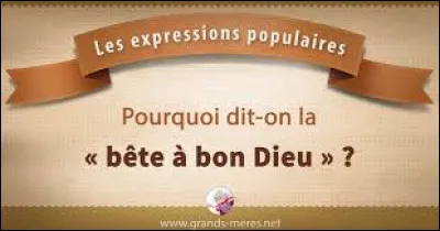 Quel insecte appelle-t-on aussi "la bête à bon Dieu ?