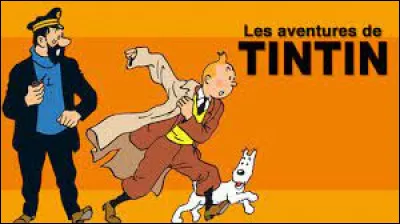 De combien d'albums la série "Les Aventures de Tintin" est-elle composée ?