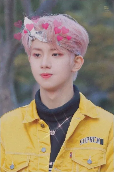 Que voulait-il devenir, avant ?