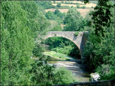 Ils portent le gentilé ''Nantais'', mais ne vivent pas en Loire-Atlantique.
Qui sont-ils ?