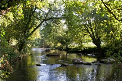 Quel poème d'Arthur Rimbaud débute par "C'est un trou de verdure où chante une rivière" ?