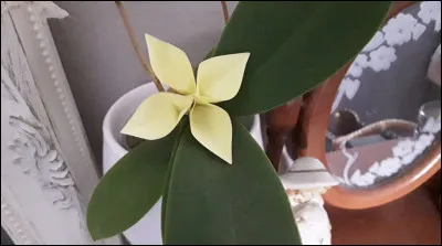 Que représente cet origami ?