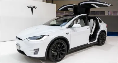 De nos jour, pouvez-vous me dire quel est l'homme associé à la marque automobile Tesla ?