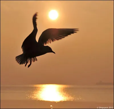 Quel pouvoir préfères-tu ?