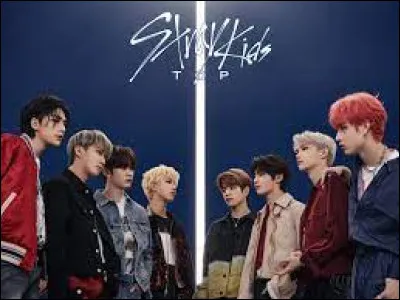 Quel a été leur premier single ?