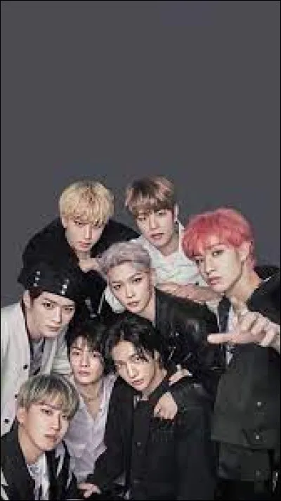 Comment la communauté fan de ce groupe est-elle appelée ?