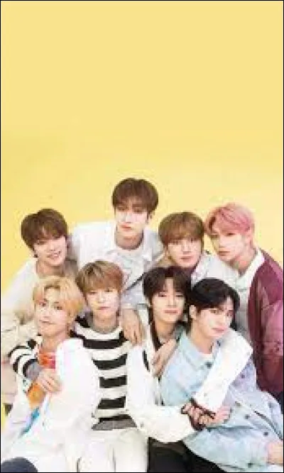 En quelle année Seungmin est-il né ?