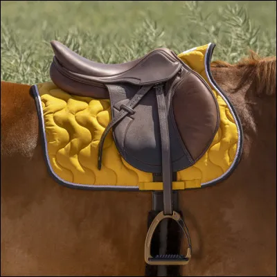 Comment appelle-t-on la chose que lon met sur le dos du cheval et où on sassoit ?