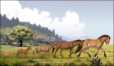 Quels sont les ancêtres du cheval ?